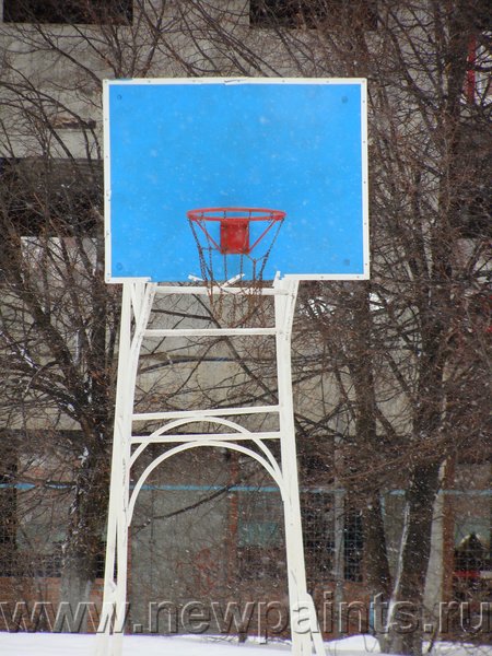 Баскетбольный щит. Университет Дружбы Народов, Москва.